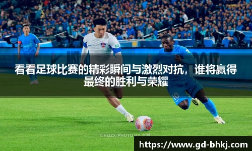 米乐m6