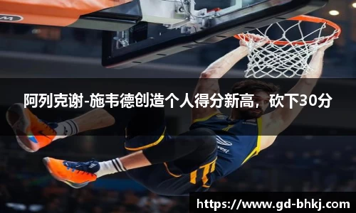 阿列克谢-施韦德创造个人得分新高，砍下30分