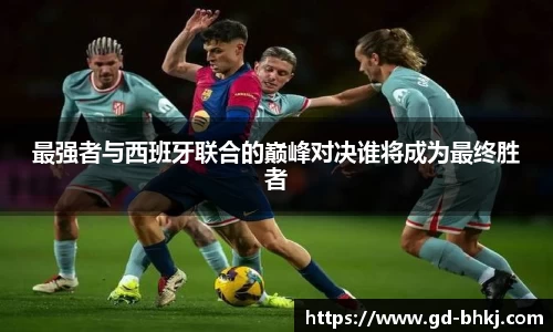YY易游体育