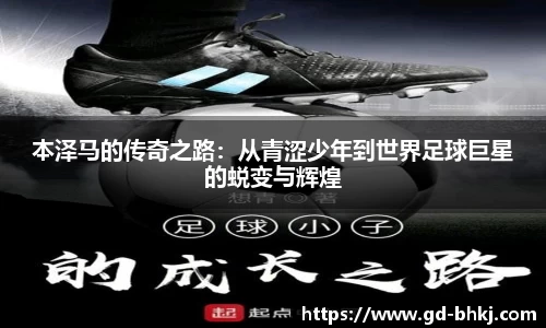 米乐M6官网