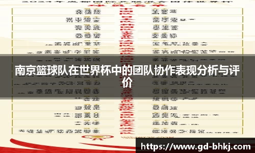 南京篮球队在世界杯中的团队协作表现分析与评价